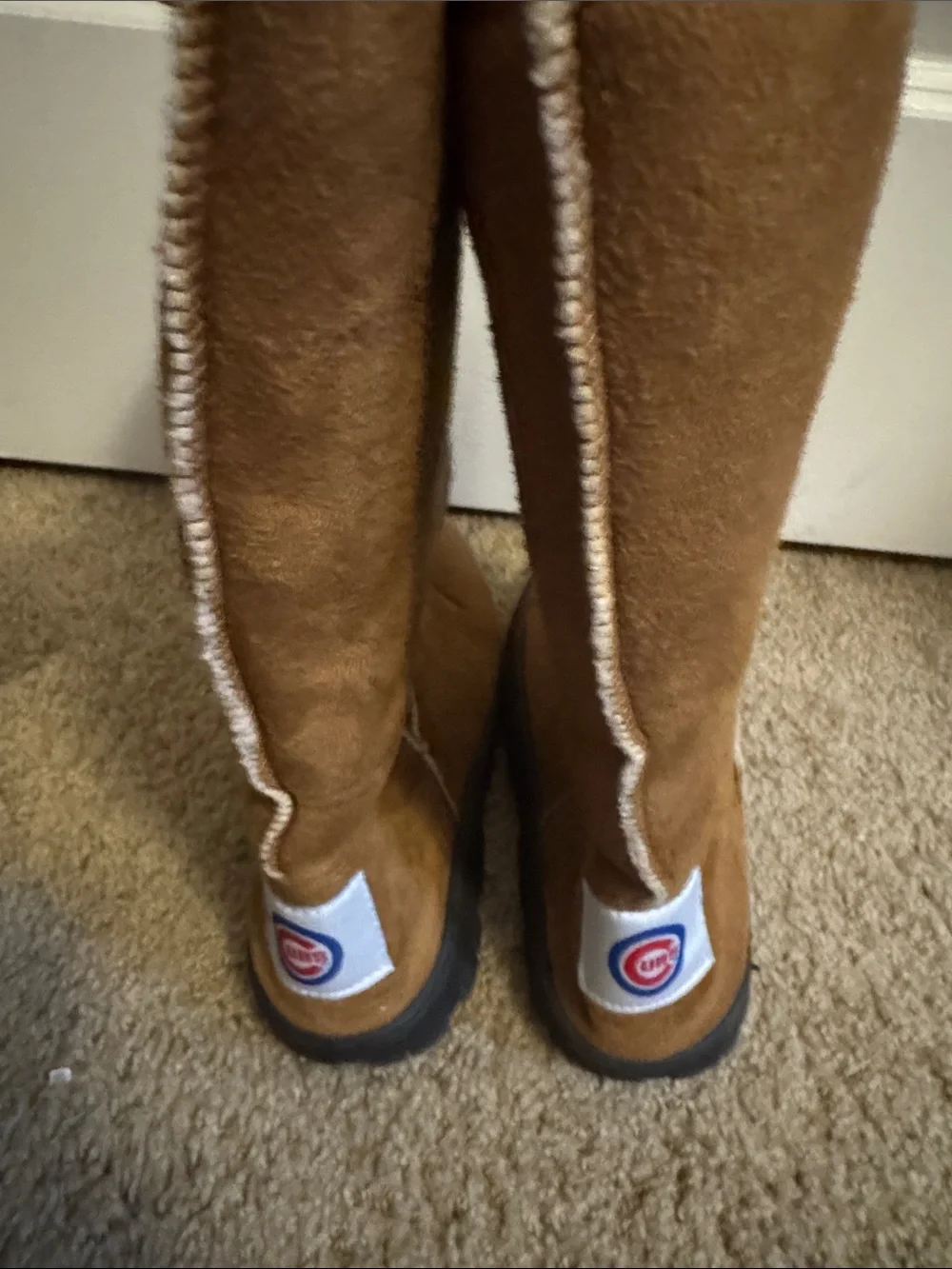 Cubs these cozy